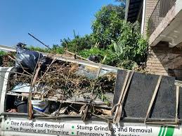 Best Furniture Removal  in Buena Vista, CO