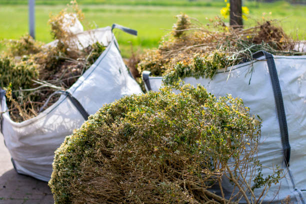 Best Residential Junk Removal  in Buena Vista, CO