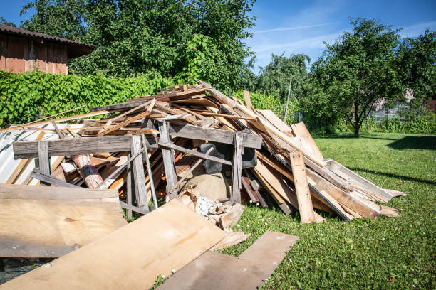 Best Demolition Debris Removal  in Buena Vista, CO